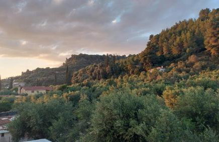 homonatura. sense of native living. - Foto 18