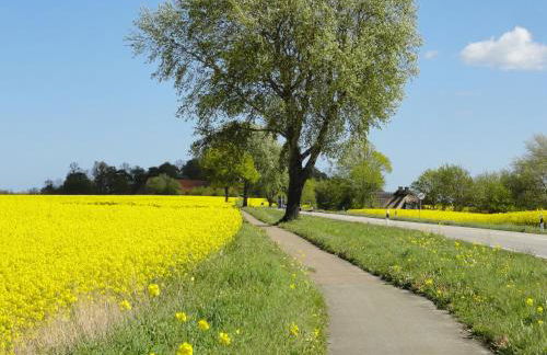 Ferienwohnung Hafenblick Ferienhof Geltinger Bucht - Foto 23