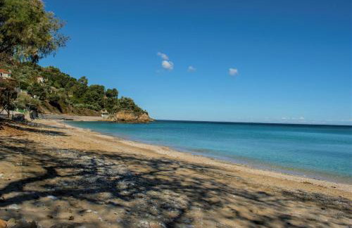 Feel at Home - Photo 35