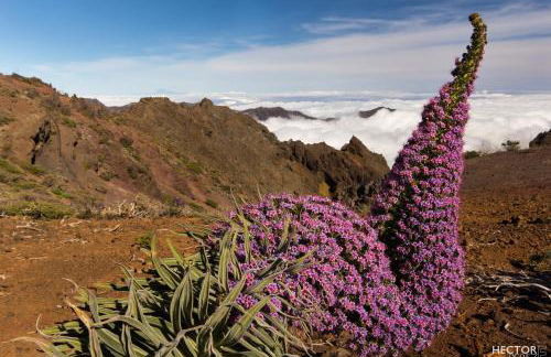 Country house Santa Lucia - Photo 34