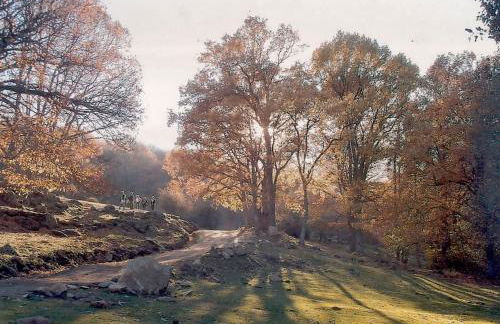 Casa rural en El Burguillo - Picos Pardos CRA-AV-1088 - Photo 61