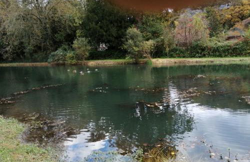 Comtesse de Dordogne - Photo 73