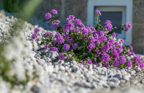 Casa Monte do Cervo - Foto 3