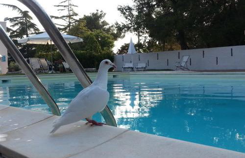 La Ferula Bed&Pool - Foto 29