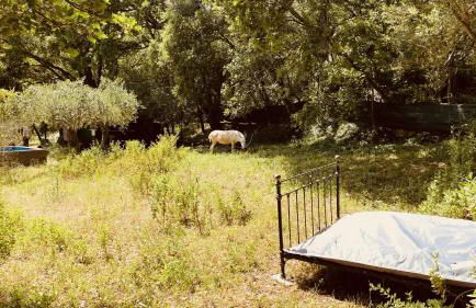 Chalet avec piscine privée dans la forêt - Foto 29