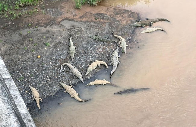 Casa de los Kobiera - Foto 36