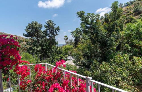 Stunning Hollywood Midcentury Modern-Views-Best Location! - Foto 49