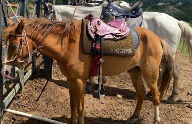 Flat no Condomínio Monte Castelo ao lado da área de lazer, Gravatá-PE - Foto 14
