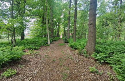 Ruheoase am Wald 35651 - Photo 10