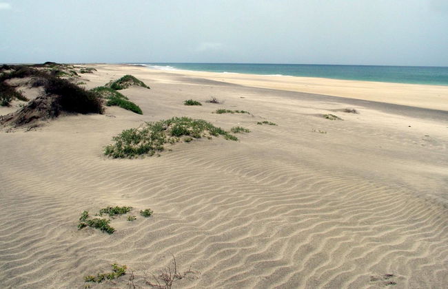 Bungalows Bela Vista Maio Beach - Foto 14