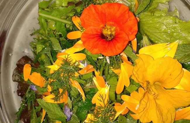 Il Rifugio del Contadino Country House - Photo 18