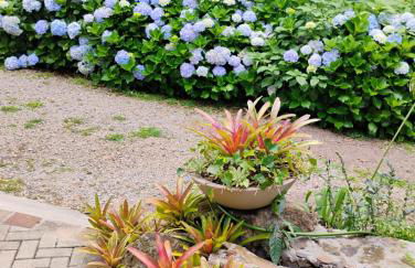 Quintal do Garnizé - Unidade Sabiá - Foto 35