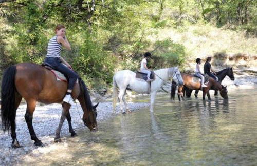 Le Rieufroid - Foto 50