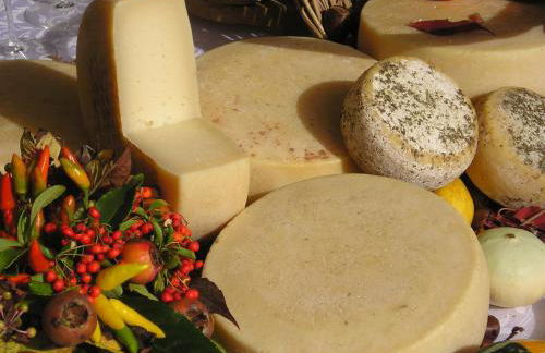 Agriturismo Borg da Ocjs - Photo 39