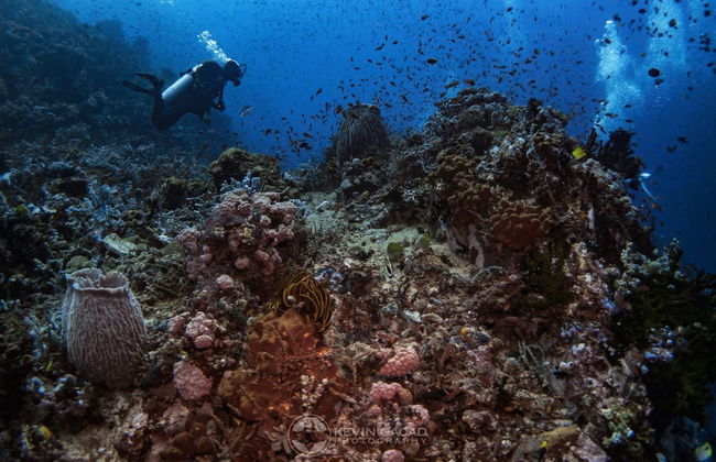 BADLADZ Staycation Condos - Foto 63