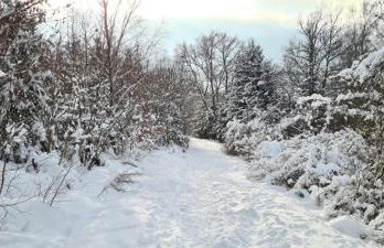 Ferienwohnung Hanne - Foto 15