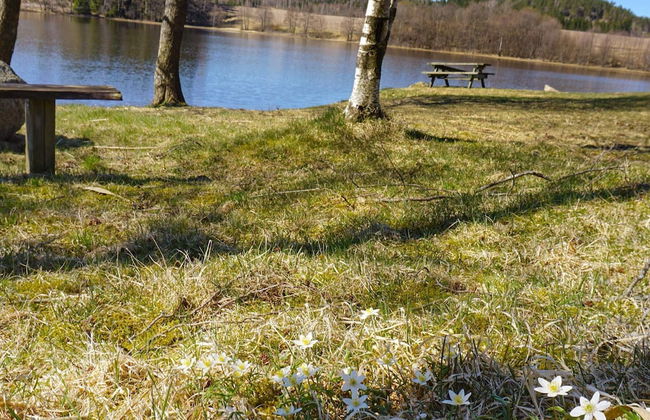 4 Person Holiday Home in Hedekas-by Traum - Foto 6