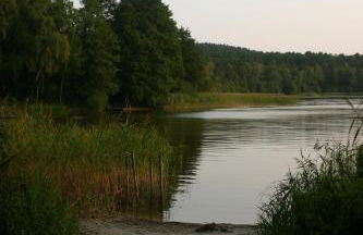 Ferienwohnung Am See 55 - Photo 13