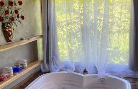 Chalé de Ferro visconde de mauá - Foto 36