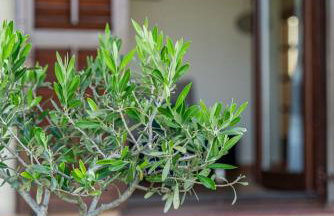 Apartment Elio 1606 - Foto 7