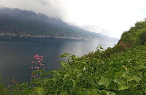 appartamenti Residenza 1928 - Foto 44