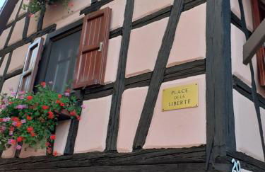 Idéal séjour Alsace ! proche Colmar et sur la route des Vins, Gîte de la Liberté - Foto 12