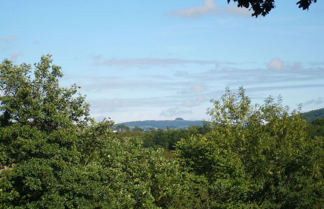 Garden Cottage & Granary - Photo 14