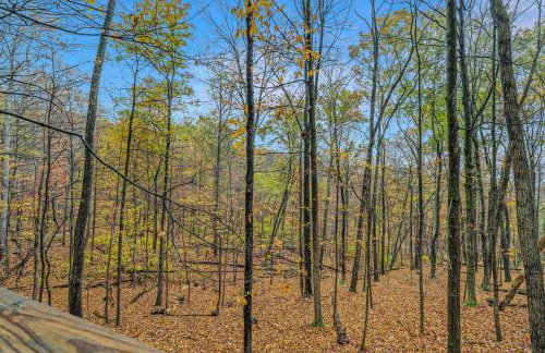 Black Forest - Wifi, Pet Friendly, Grill, Deck, Screen Porch, Family Friendly, Fireplace, Pool Access, Hiking - Foto 21