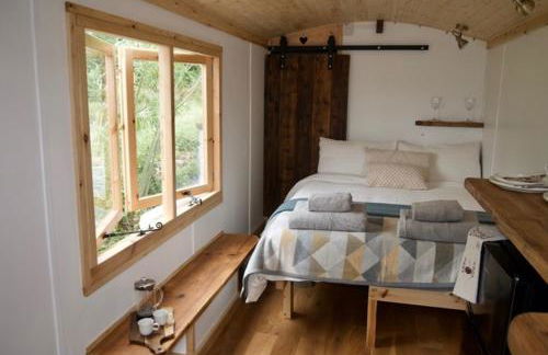 Little Dolwen - Sioned - Photo 32