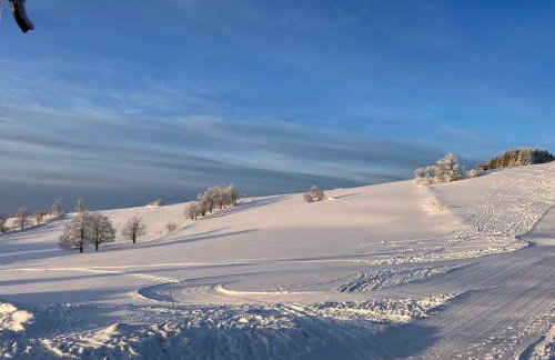 Brzozowa Osada - Foto 54