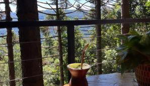 Cabanas da Mata Com Vista para as Montanhas na Serra Gaúcha - Foto 5