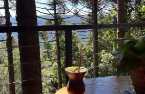 Cabanas da Mata Com Vista para as Montanhas na Serra Gaúcha - Foto 5