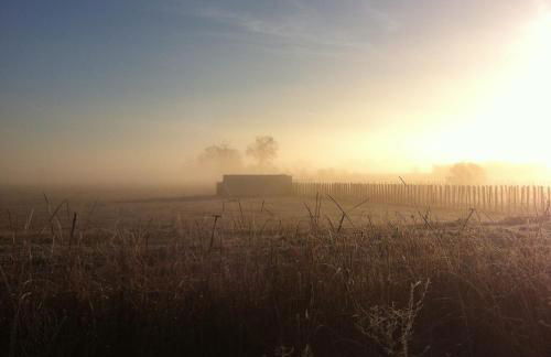 Le Petit Viala - Foto 32