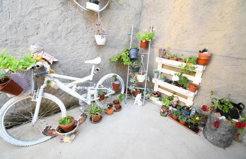 CASA PITA Completa Grupos - Foto 37