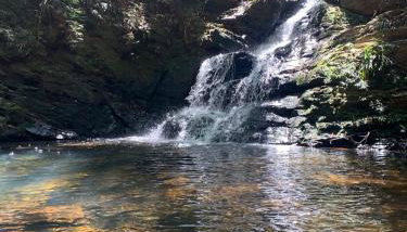 Pousada Suçuarana - Photo 4, Garden, Garden view