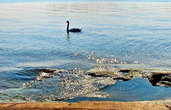 4 Person Holiday Home in Varmdo-by Traum - Photo 18