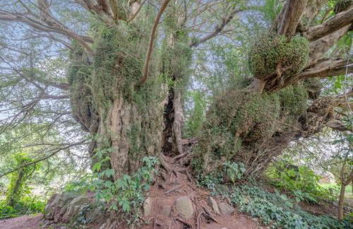 2 Bed in Defynnog oc-t32724 - Foto 23