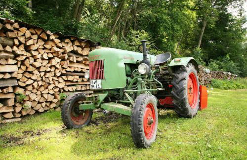 Ferienwohnung Blum - Foto 26