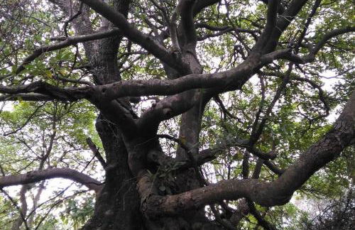 La piazzetta di Gra e Baldo - Foto 23
