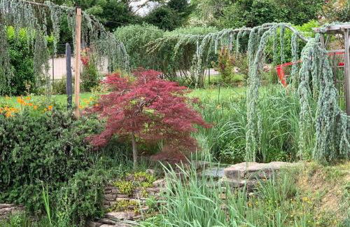 La Grenouillère - Foto 15