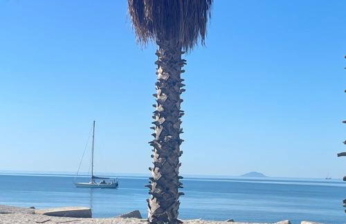 LA BAIA DI NETTUNO Il Gatto e La Volpe - Foto 54