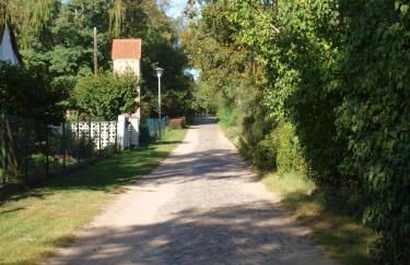 Natur erleben und Ruhe genießen - Foto 23