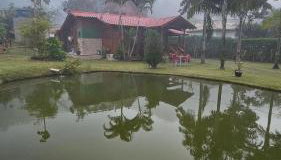 Chácara em Marechal Floriano - Foto 5