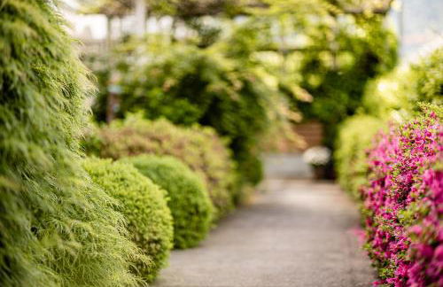 Garden Residence - Photo 21