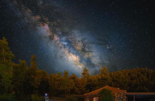 La Palma Wild Life - Foto 1