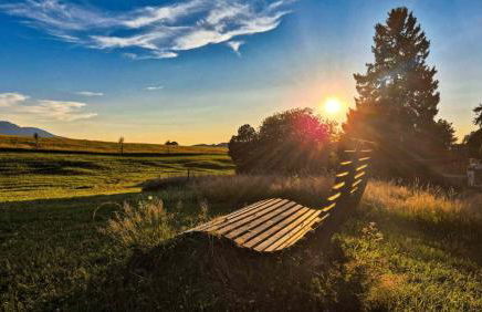 SEINZ Tiny House Natururlaub - Foto 16