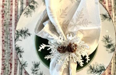 Rochester Gem: 3BR Near All! - Foto 53