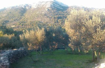 Cottage Melita the Apartment for Animal Lovers - Foto 36