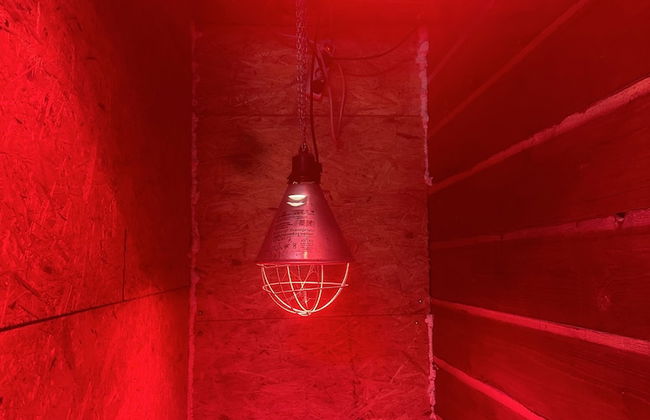 Ferienwohnung am Glück - Foto 19