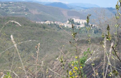 Luxury Casale Sabina Valley - Foto 34